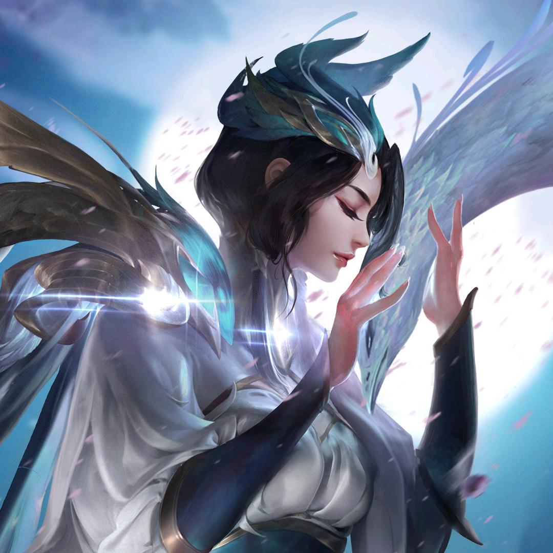 羌鹰缘🦅