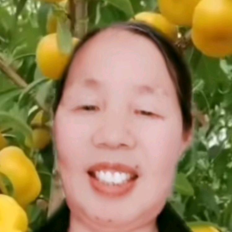 杨兔