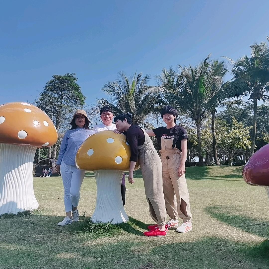 金字塔，棕榈油系列