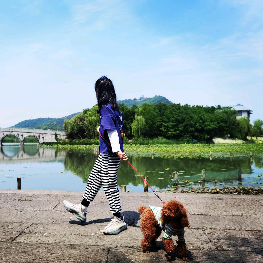 小小马