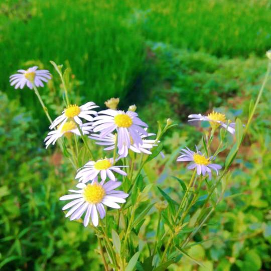 我的挚💖宝贝（拒绝私聊）