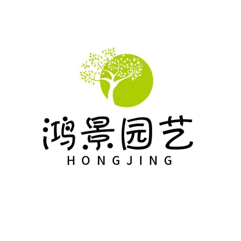 棠梨王者（鸿景园艺）