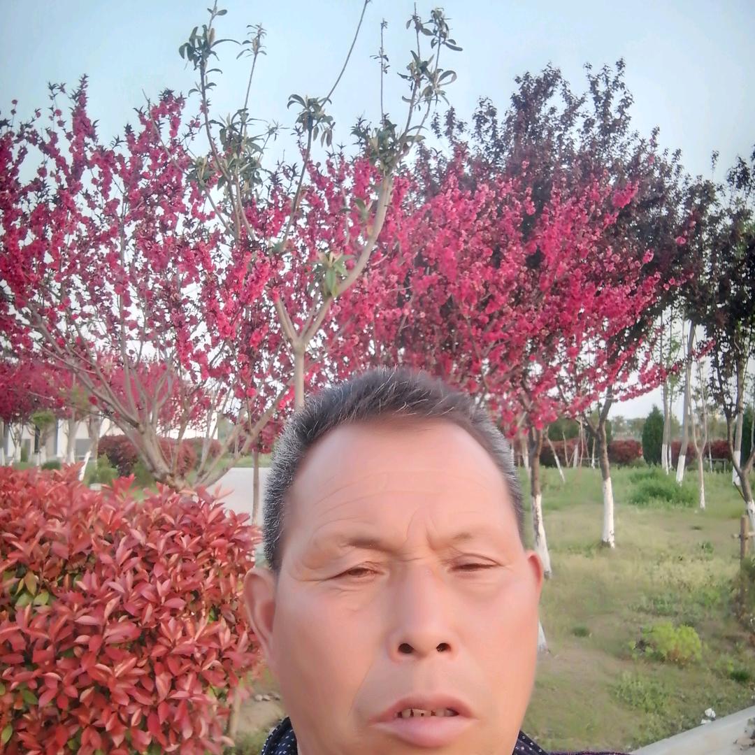 你还是这么好吗