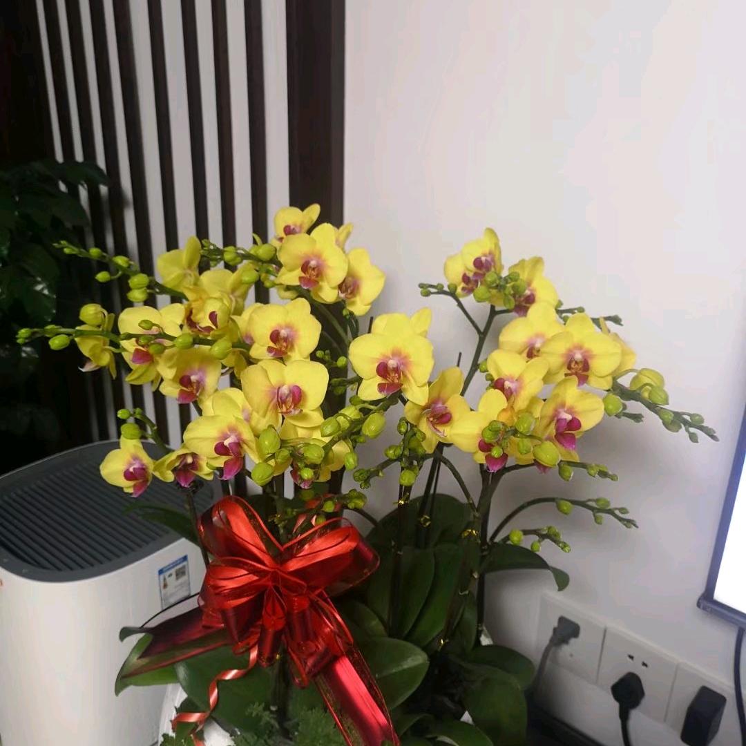 顺其自然，