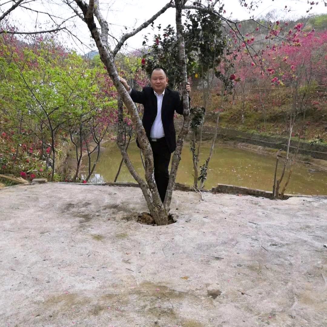 坪上开发区辉记士猪馆郭田短号666659