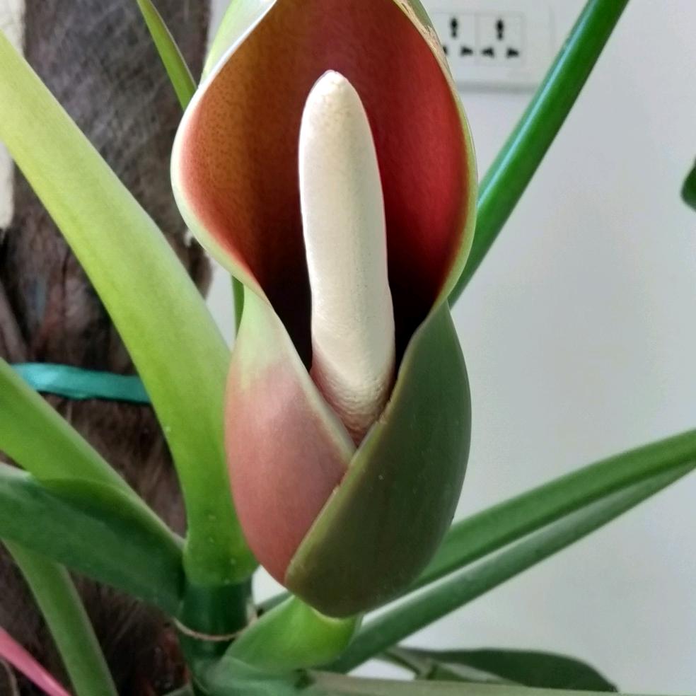 🔣🌈春雨沙沙🌈