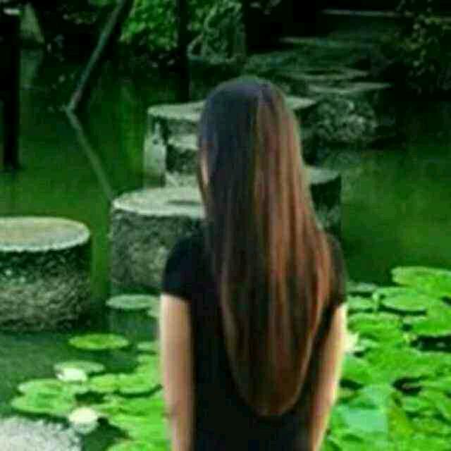 静心看世界[拒私聊]