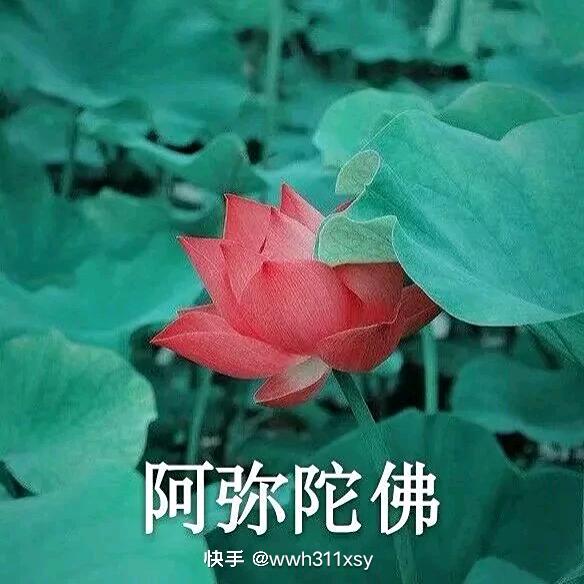 富士康餐饮人