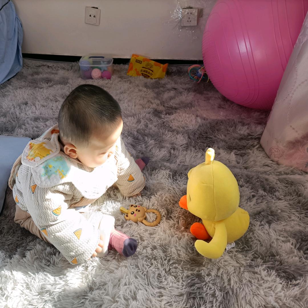 豆豆😛的妹妹🥰叫豆苗