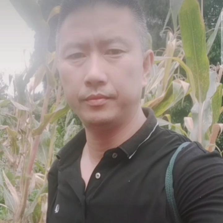 酒香的影子