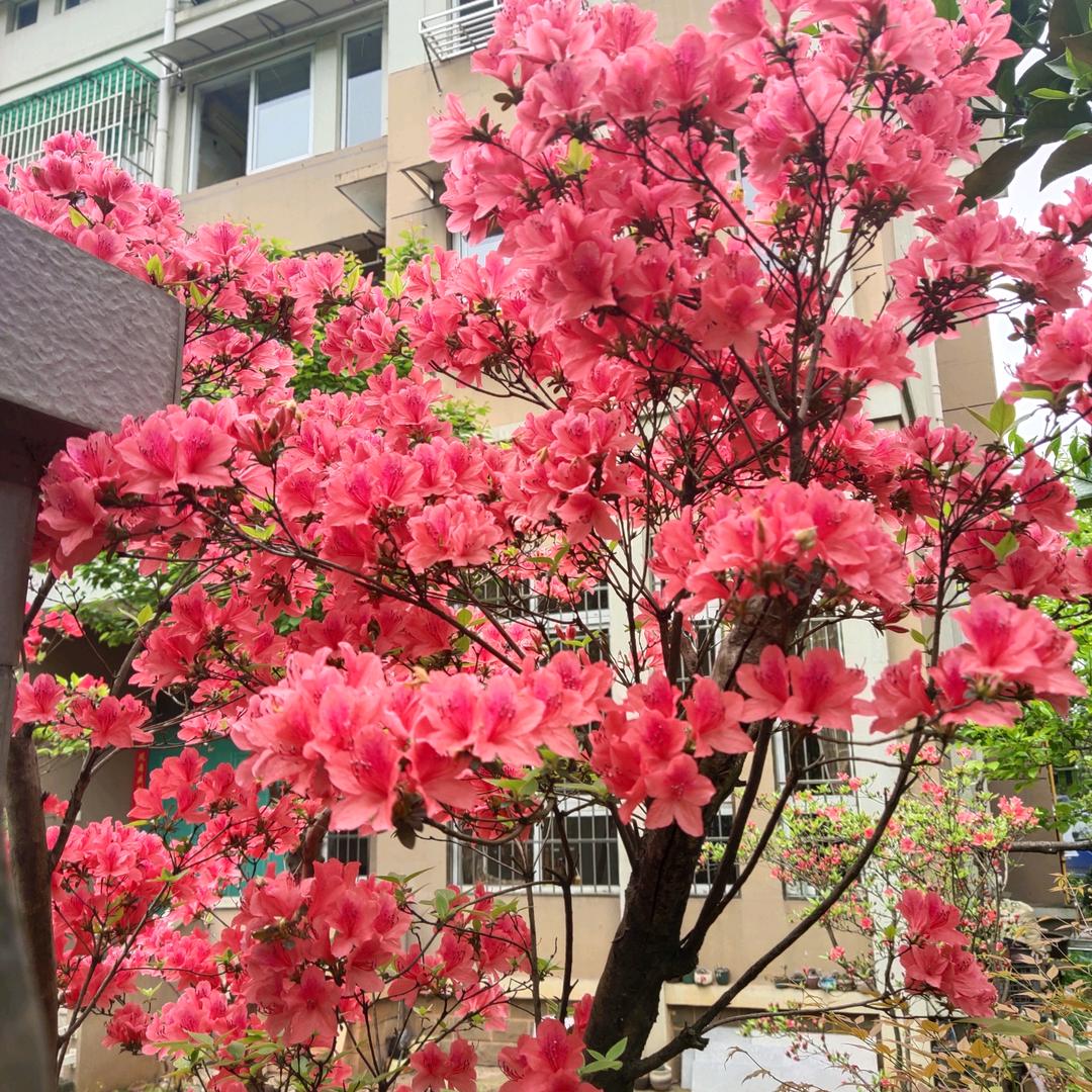 燕子姐姐💕❤️