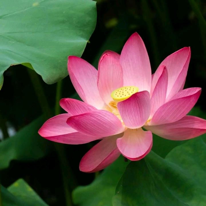 《【在红尘中修行】》