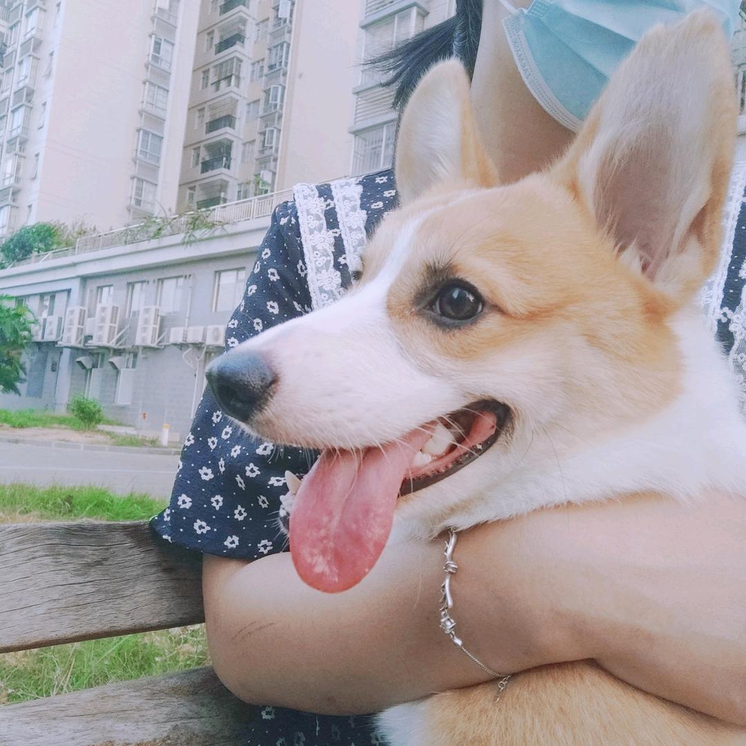 🌈萌笙-重拾快乐版