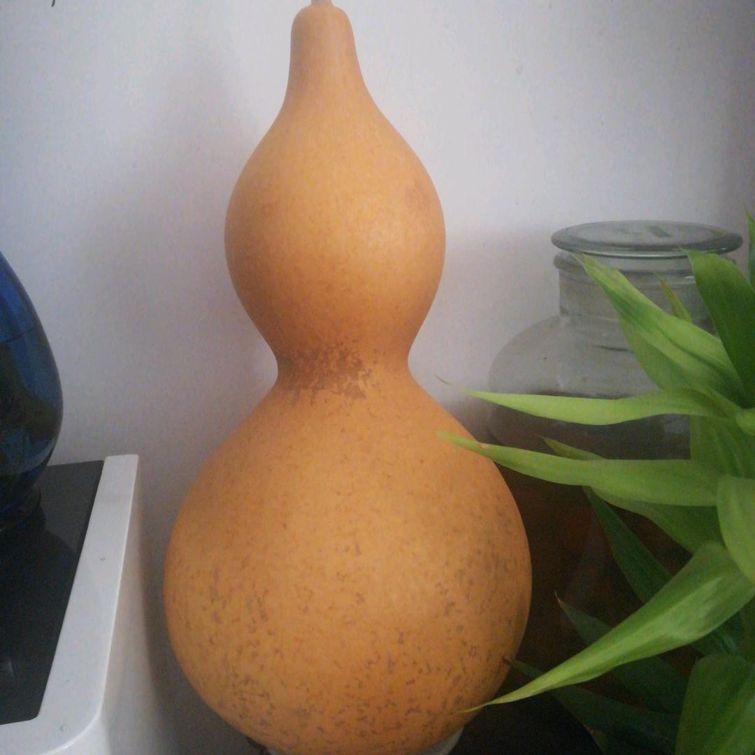 金灶霖