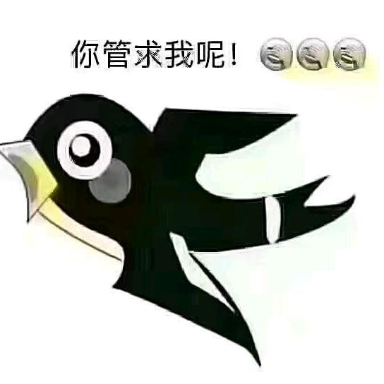 想你那夜