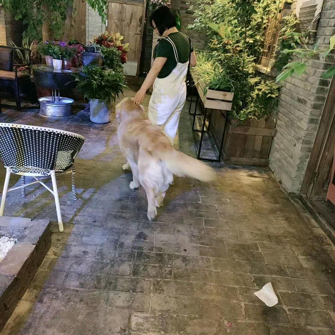 郑小胖