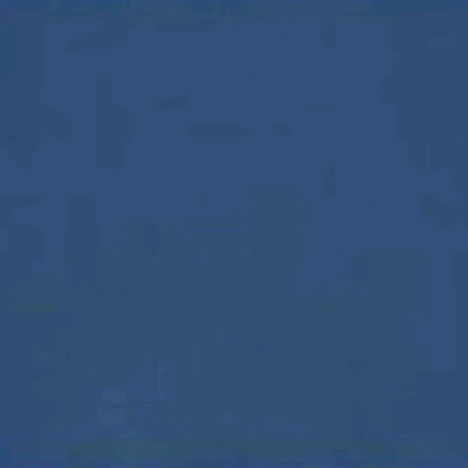 载湉