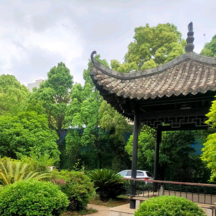 顺心