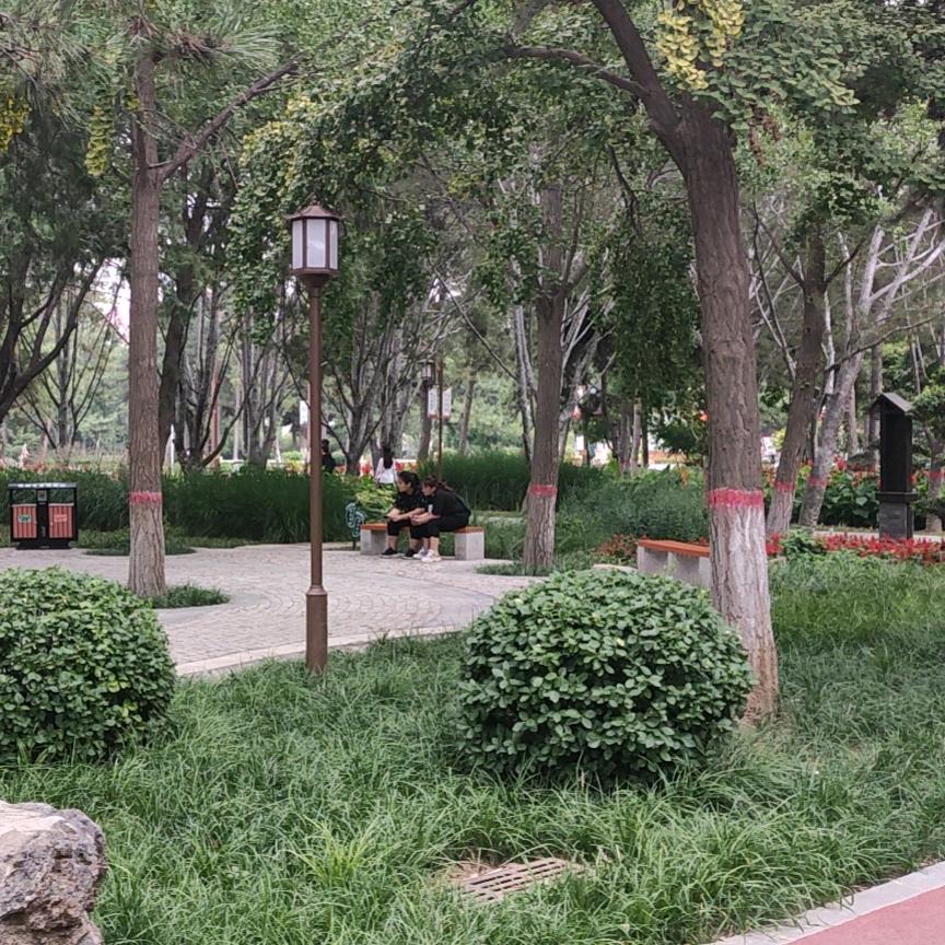 竞秀街. 阿兰煎饼