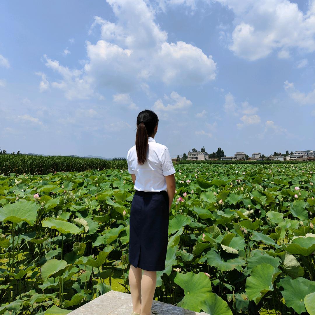丽丽