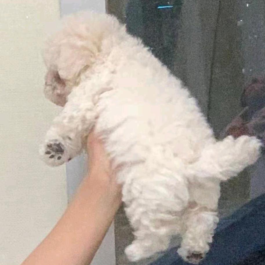 小沛