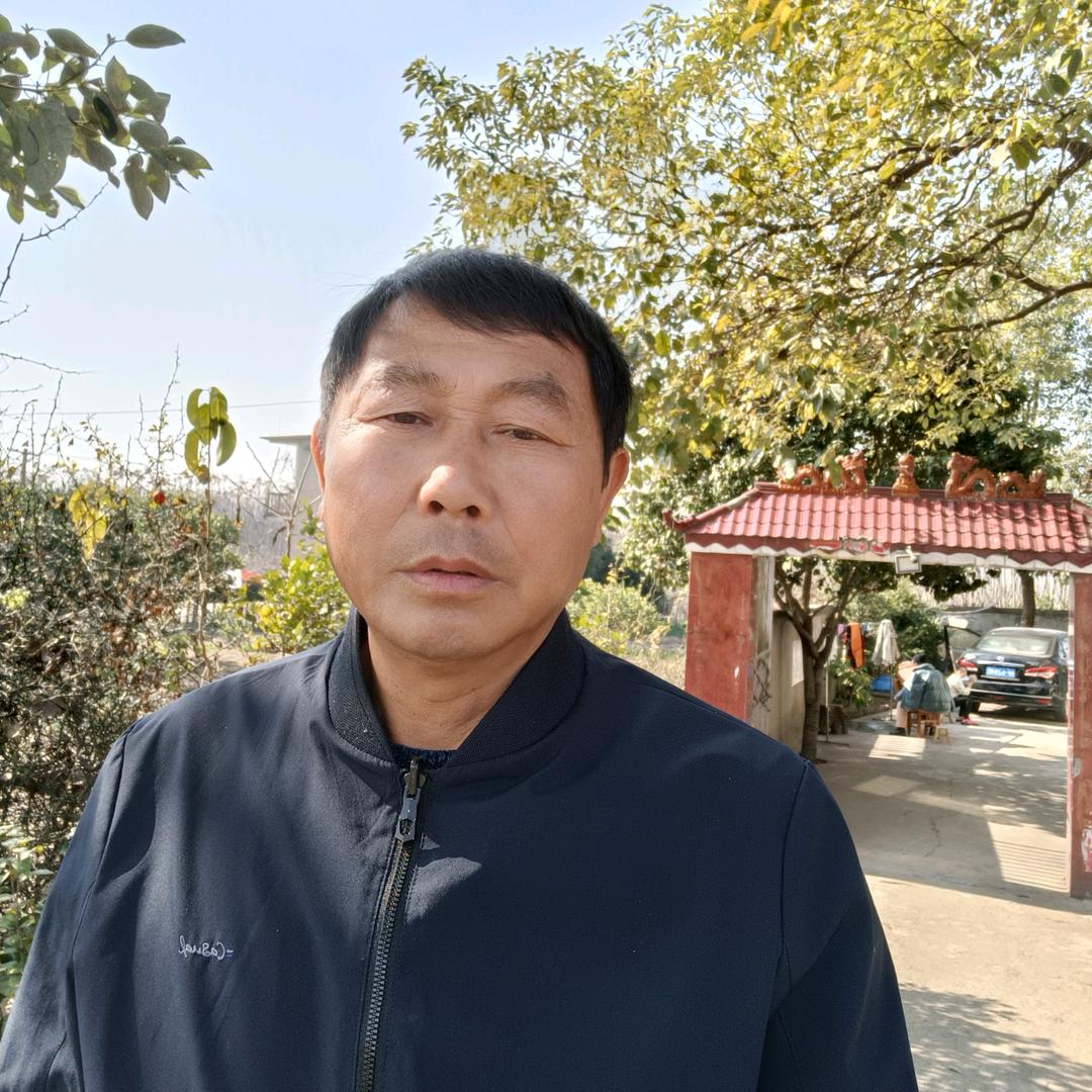 华容砍树人