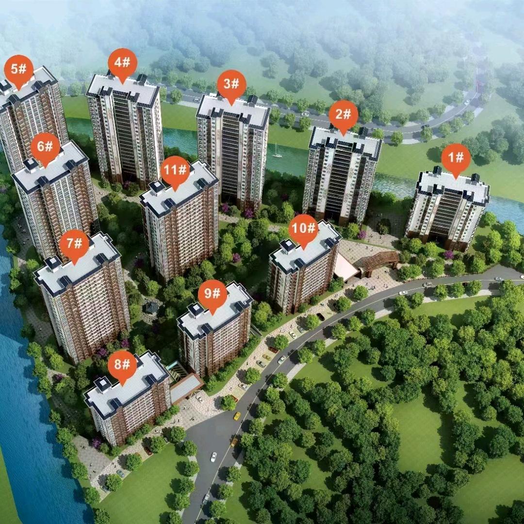 桐木金秀房产