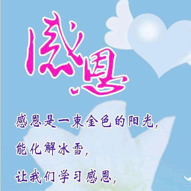 广德房产人朱传珍