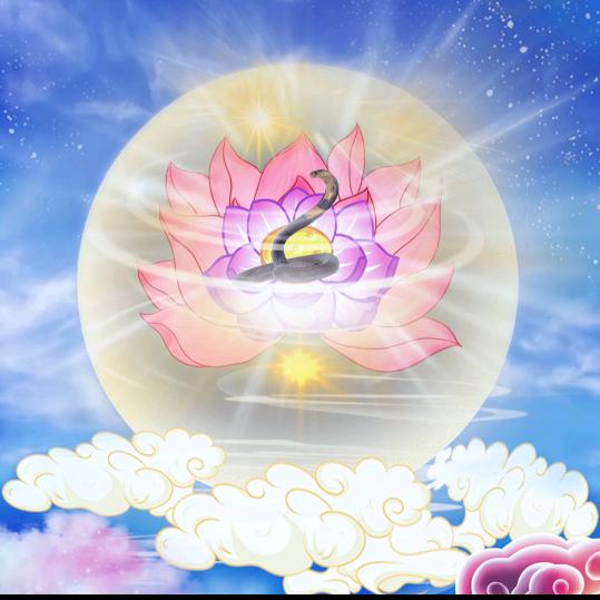 春天哥