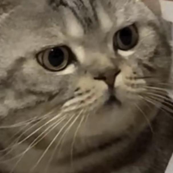 嘻嘻哈哈🌈🌈