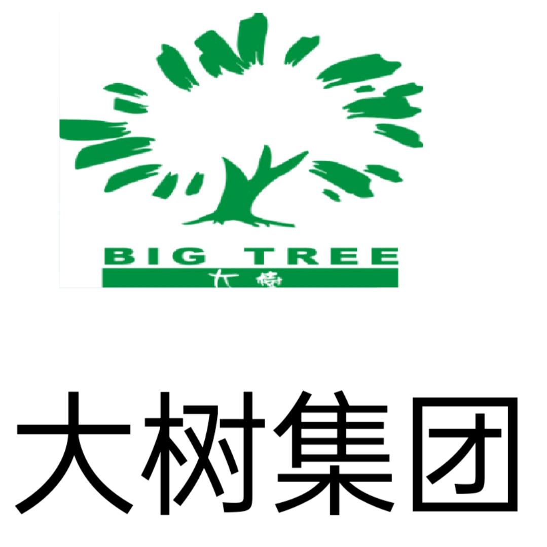 大树集团平儿