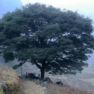 壹貮叁肆伍陆柒捌