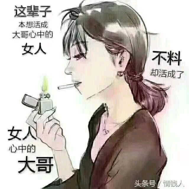 草原飞鹰