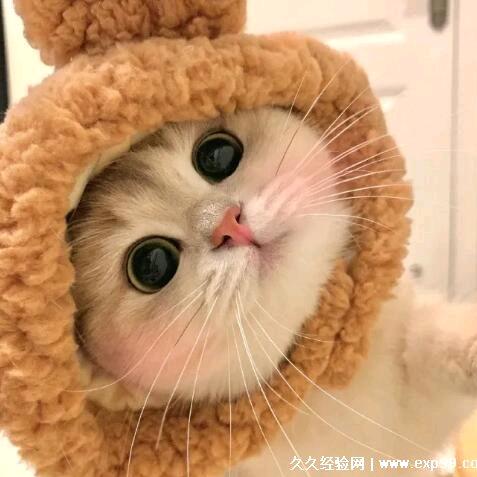 笨小蛋💋