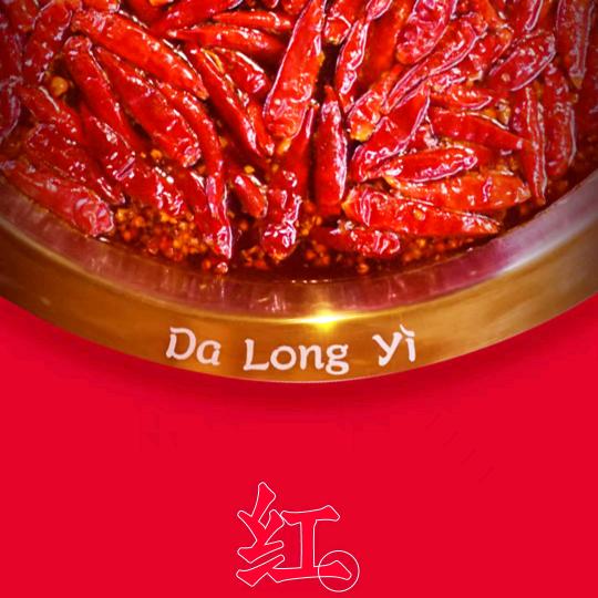 阜阳市颍州区大龙焱火锅店