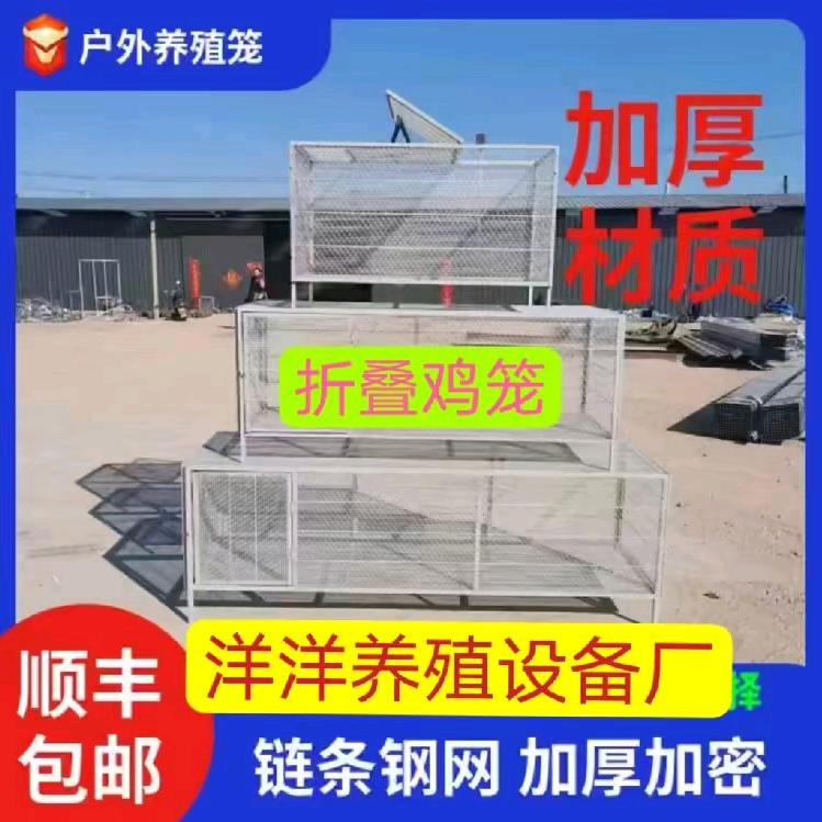 洋洋鸡笼养殖设备源头工厂