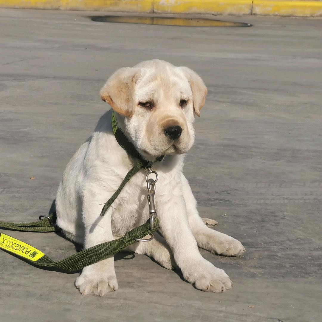 战忽局扫地小伙子