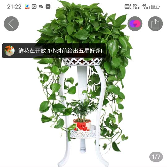 岳西县秀红生态土猪养殖