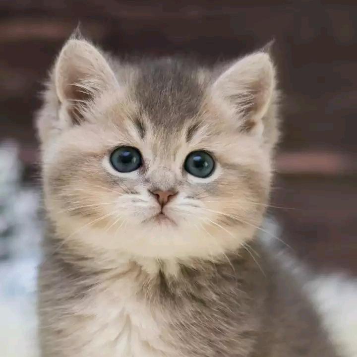 索朗