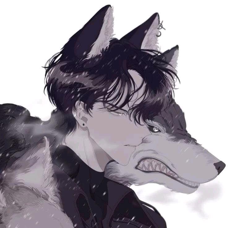 迷途的羔狼