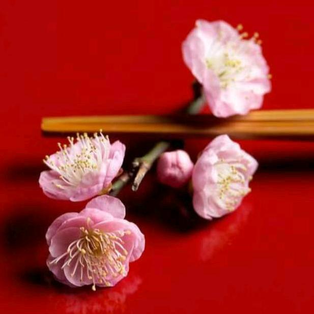 齐枫