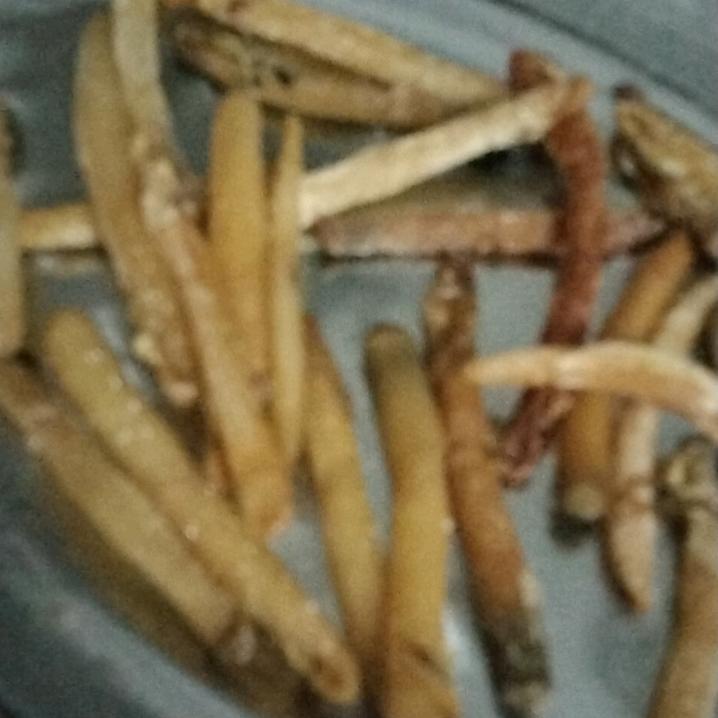 寂寞的人生