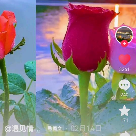 快乐_144844768