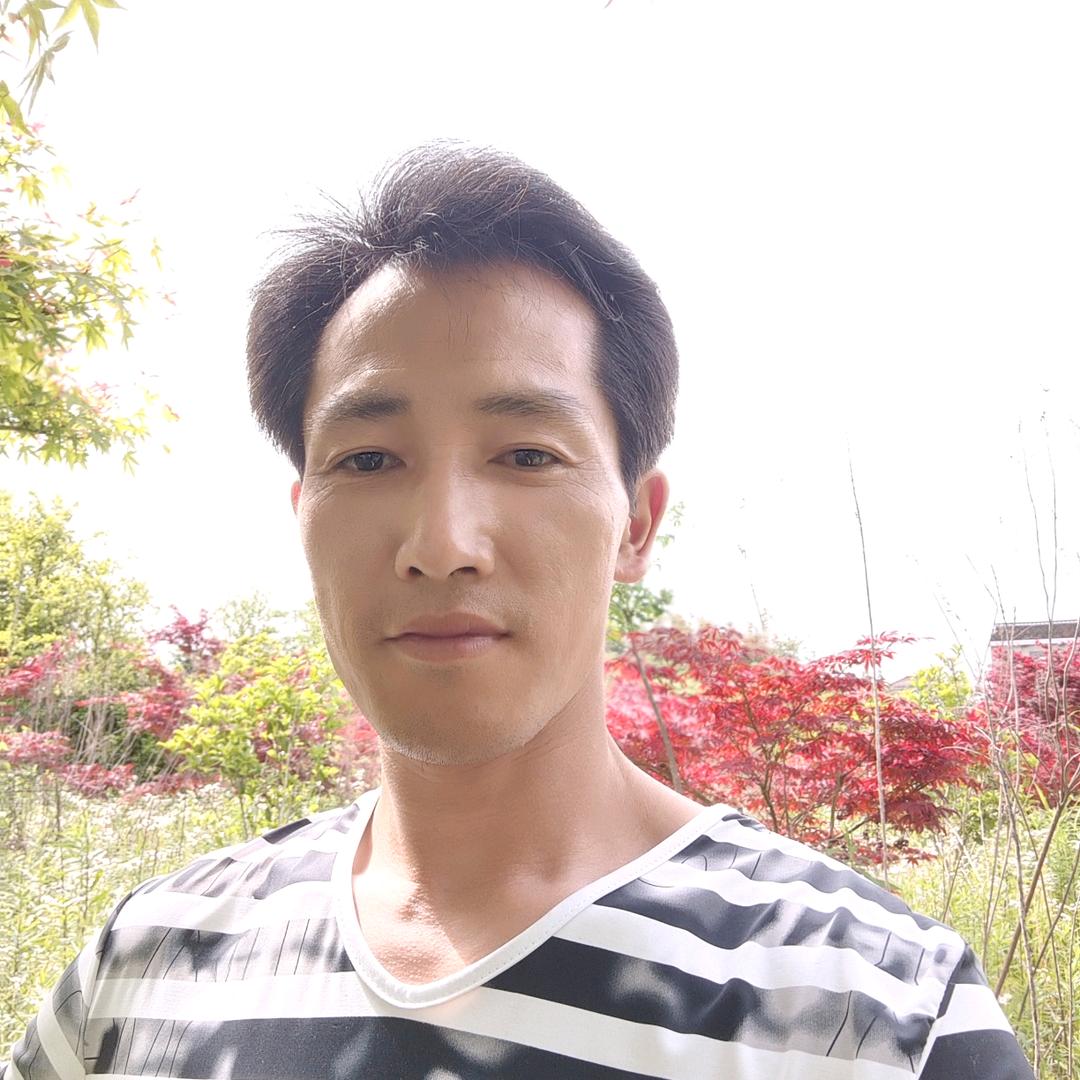 草莓66随心随意