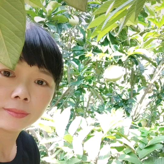 人生如花