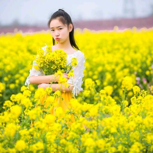 十全十美