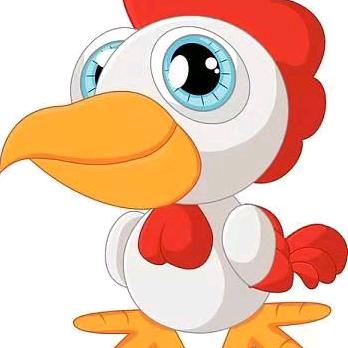 无价之宝🐔