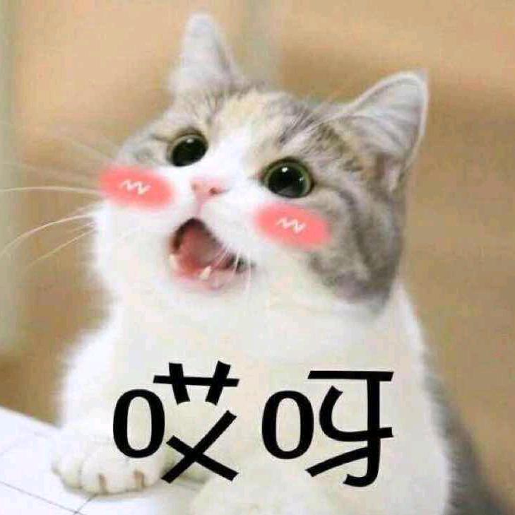 唉呀🐷