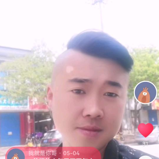 收丹参的小花贾💞