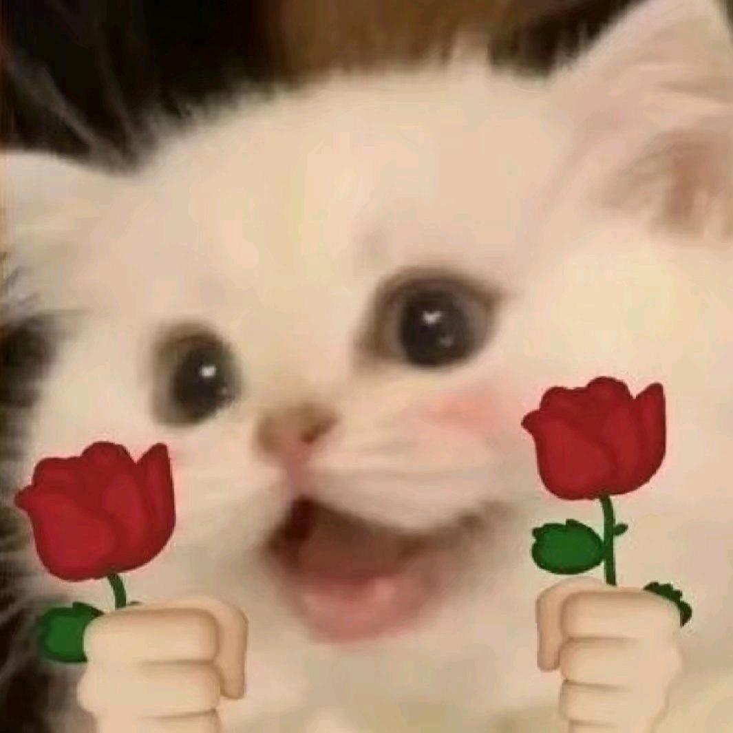 小衔     　　　 　　　　　╲
